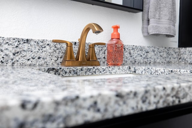 interior details featuring a sink