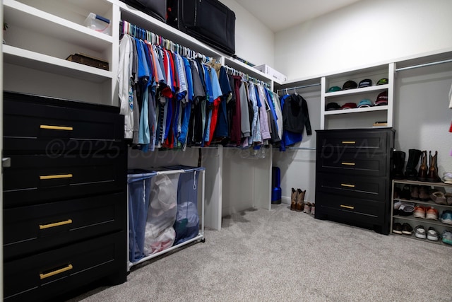 walk in closet with carpet