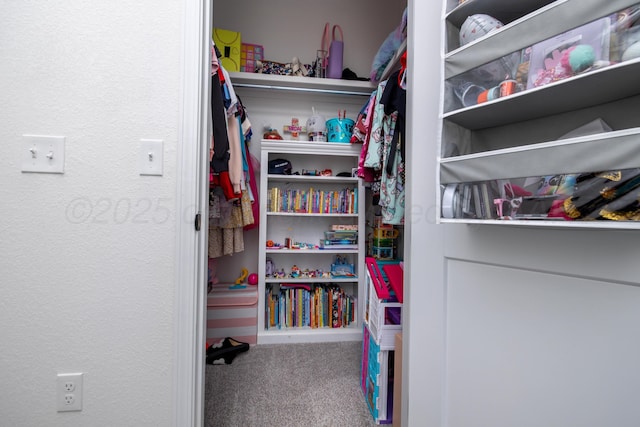 walk in closet featuring carpet flooring
