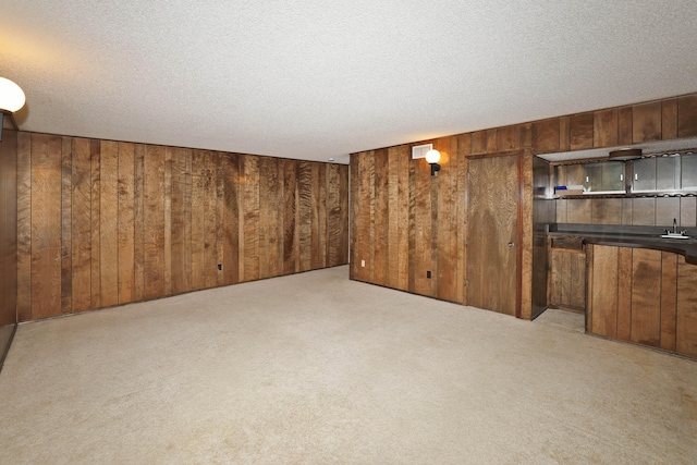 3519 Rutson Dr, Amarillo, TX 79109 - interior space with wood walls, a textured ceiling, a sink, and carpet