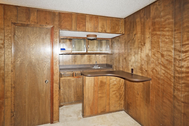 3519 Rutson Dr, Amarillo, TX 79109 - indoor wet bar featuring wood walls and a textured ceiling