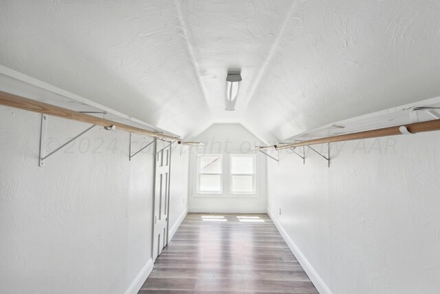 spacious closet with lofted ceiling and wood-type flooring