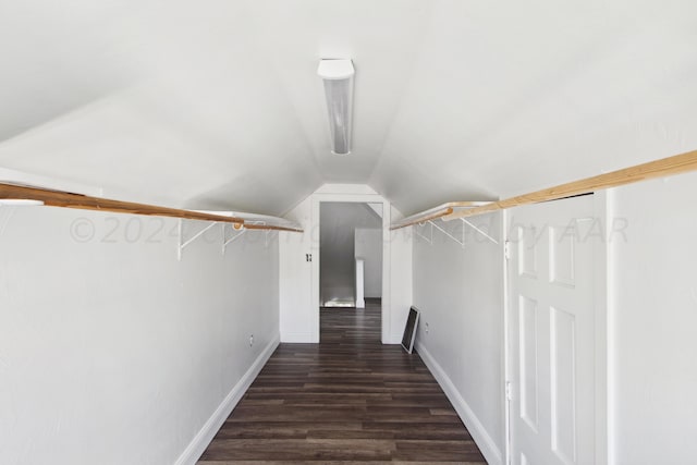 spacious closet featuring dark hardwood / wood-style flooring and lofted ceiling