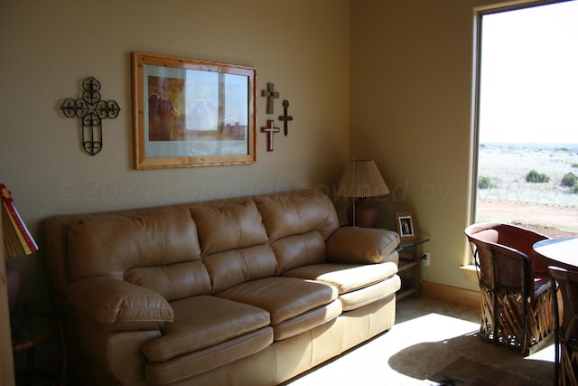 living room with carpet floors