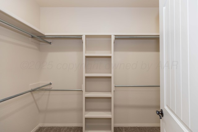 7111 Mosley St, Amarillo, TX 79119 - spacious closet with carpet