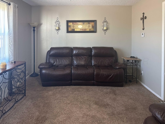 living room featuring carpet flooring and a textured ceiling