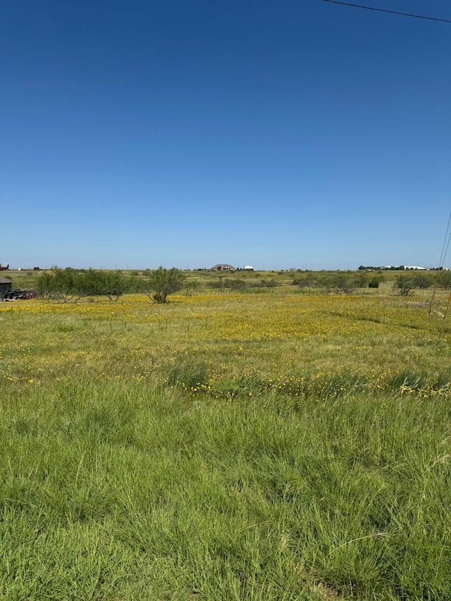 13230 Wandering Rd, Amarillo, TX 79118 - photo 4