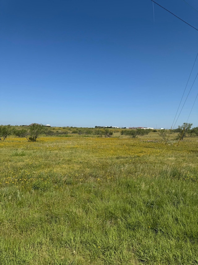 13230 Wandering Rd, Amarillo, TX 79118 - photo 5