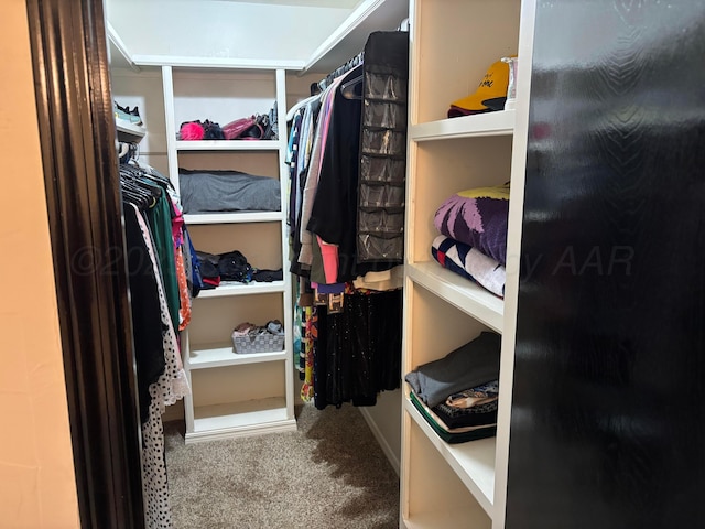 7810 Farrell Dr, Amarillo, TX 79121 - walk in closet featuring carpet floors