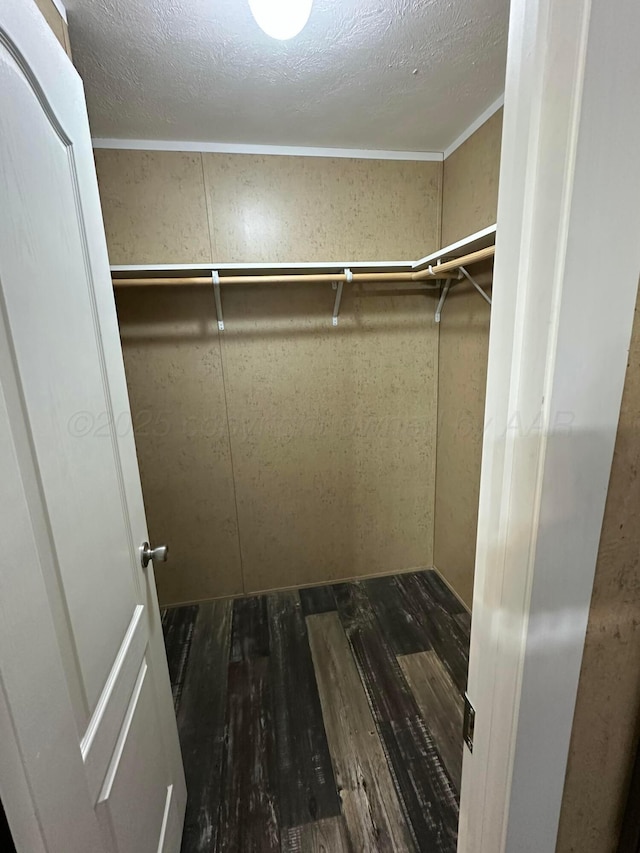 spacious closet featuring dark wood-style flooring