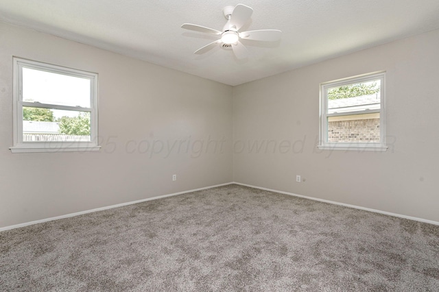 2404 SW 50th Ave, Amarillo, TX 79110 - photo 12