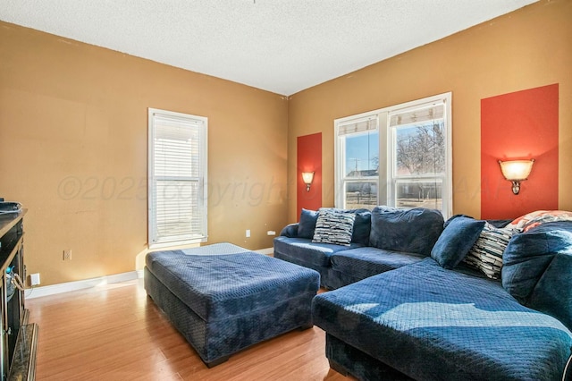 living area with a textured ceiling, baseboards, a wealth of natural light, and light wood-style floors