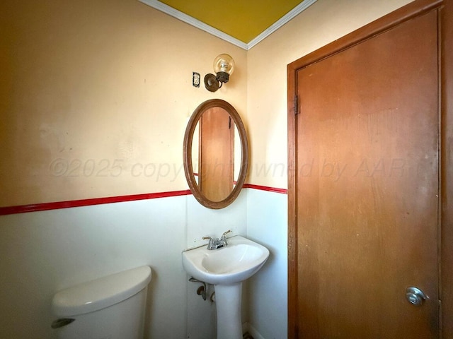 half bath featuring toilet, ornamental molding, and a sink