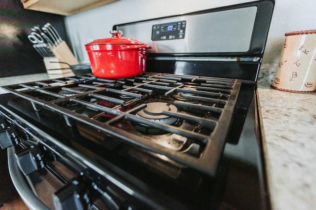 room details with stainless steel range with gas stovetop