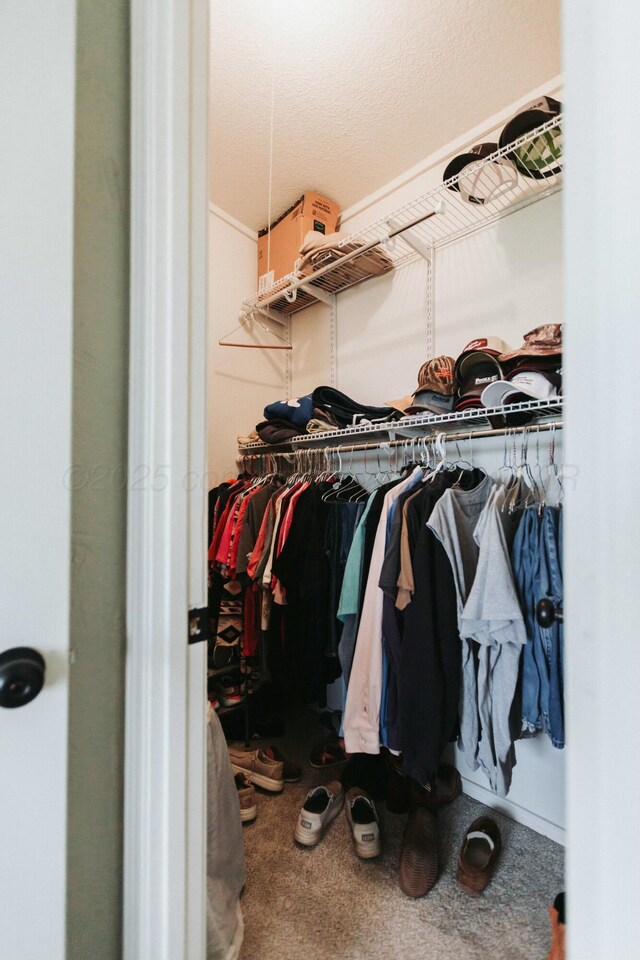 walk in closet with carpet flooring