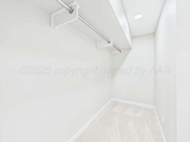 spacious closet featuring carpet