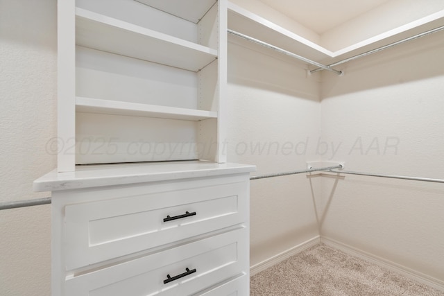 7912 Pensacola Ave, Amarillo, TX 79118 - walk in closet with carpet flooring
