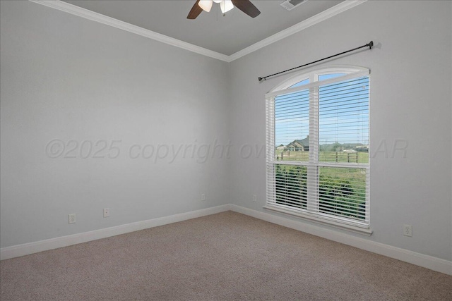 5451 Cedar Springs Trl, Amarillo, TX 79119 - photo 27