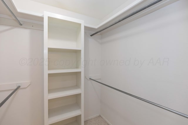view of spacious closet
