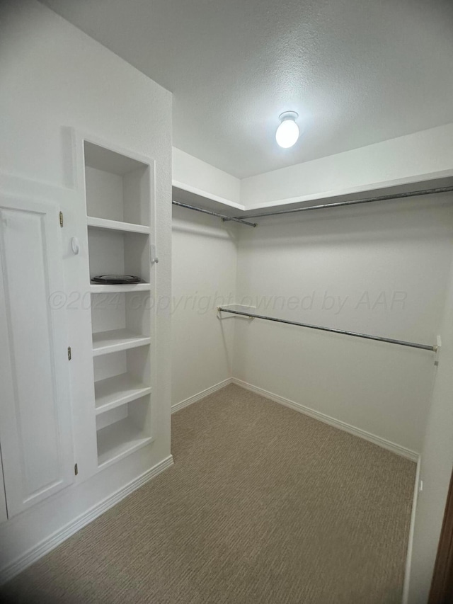 spacious closet with carpet floors