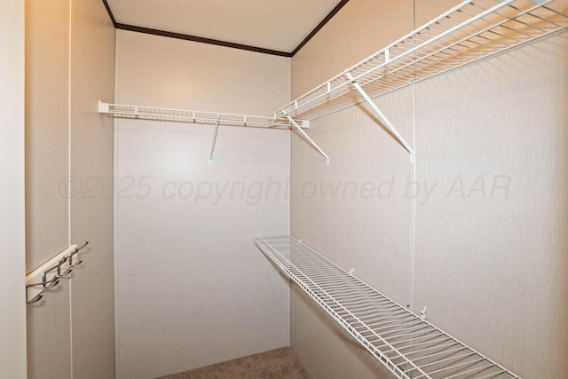 707 Trice St, Claude, TX 79019 - walk in closet featuring carpet floors