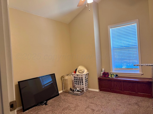 4016 S Williams St, Amarillo, TX 79118 - photo 11