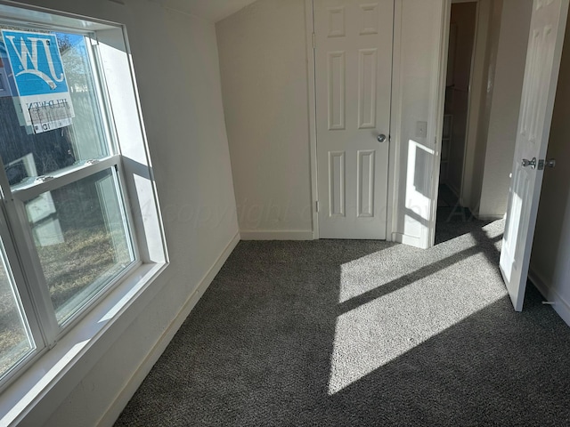 carpeted spare room featuring a wealth of natural light