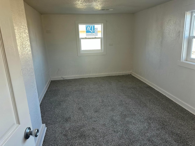 carpeted spare room with a textured ceiling and a wealth of natural light