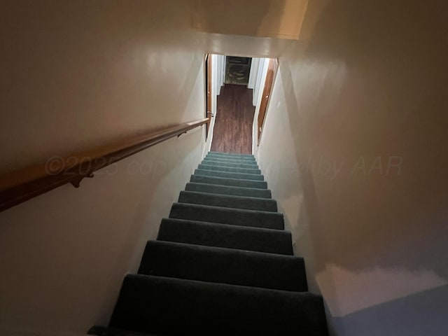 staircase featuring wood-type flooring