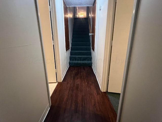 hallway featuring dark hardwood / wood-style floors