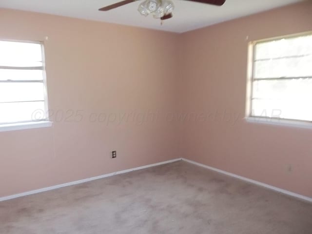 3807 Teckla Blvd, Amarillo, TX 79109 - photo 19