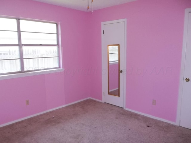 3807 Teckla Blvd, Amarillo, TX 79109 - photo 20