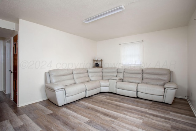 living room featuring hardwood / wood-style floors and a textured ceiling