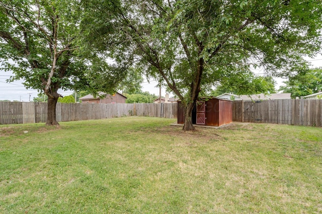 3110 S Apache St, Amarillo, TX 79103 - fenced backyard with a storage shed