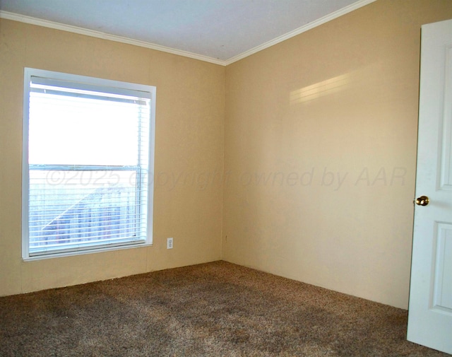 406 N Independence St, Amarillo, TX 79106 - photo 11