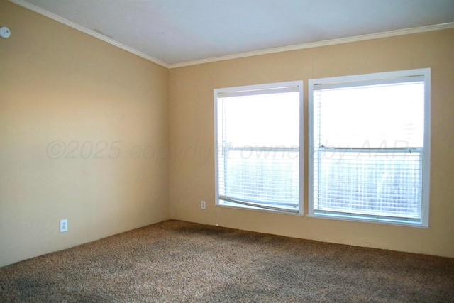 406 N Independence St, Amarillo, TX 79106 - photo 19