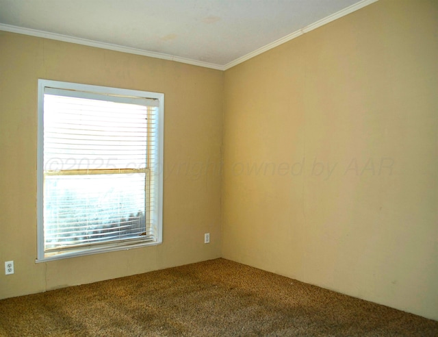 406 N Independence St, Amarillo, TX 79106 - photo 13