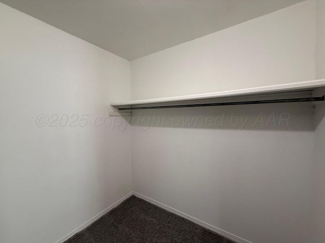 5003 Greenway Pl, Amarillo, TX 79109 - walk in closet with dark carpet