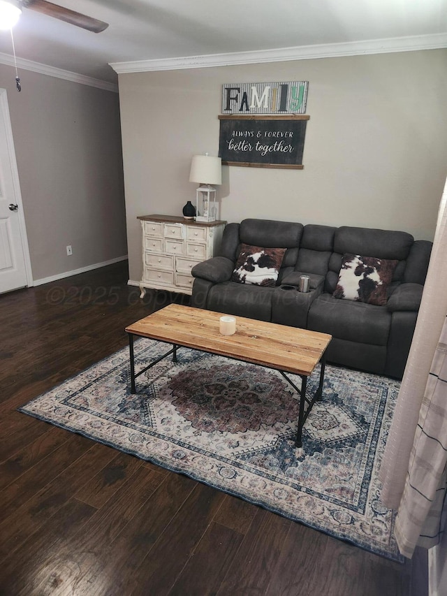 3114 Palm St, Amarillo, TX 79107 - living area with crown molding, wood finished floors, and ceiling fan