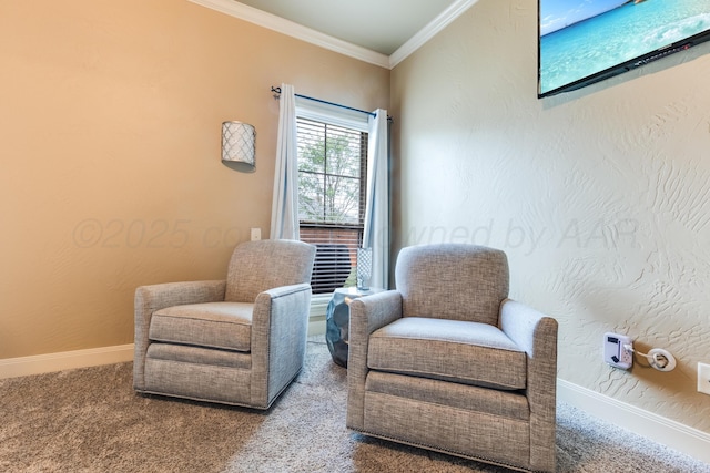 12 William Ln, Canyon, TX 79015 - living area with carpet flooring and ornamental molding