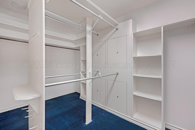 2614 Parker St, Amarillo, TX 79109 - spacious closet featuring carpet flooring