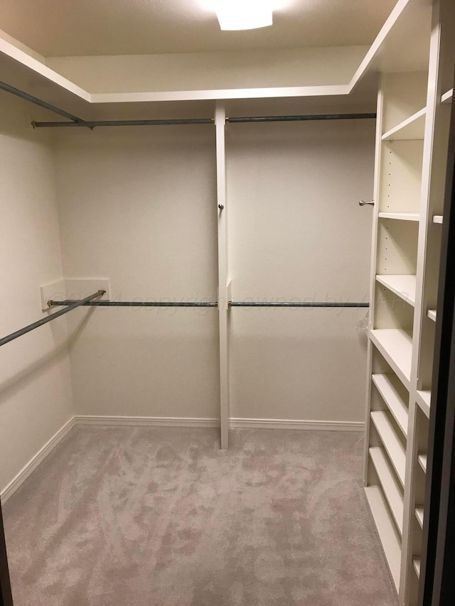 314 Fir St, Hereford, TX 79045 - walk in closet with carpet flooring