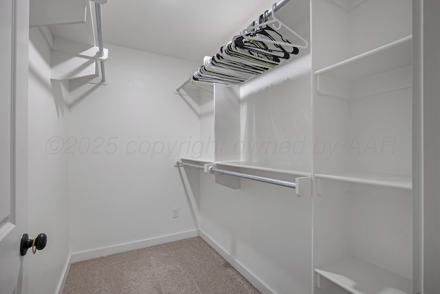 1801 Callaway Pl, Amarillo, TX 79118 - spacious closet with carpet flooring