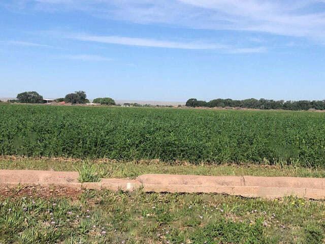 view of nature featuring a rural view