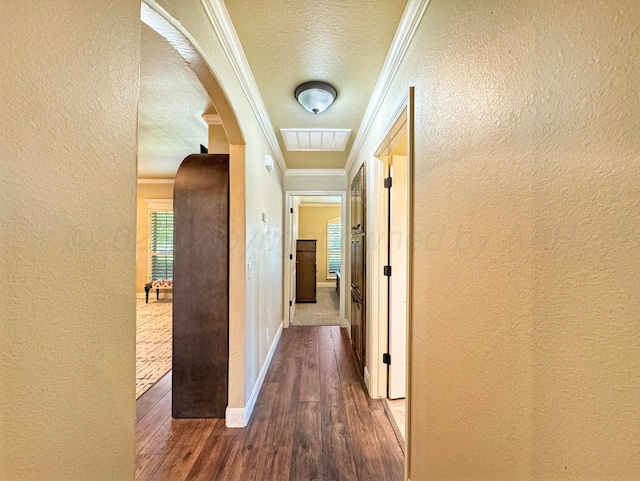 8005 Manor Haven Ct, Amarillo, TX 79119 - photo 13