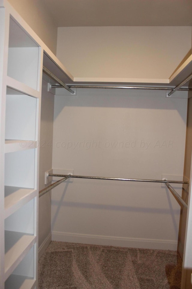8104 Miami Ave, Amarillo, TX 79118 - walk in closet featuring carpet