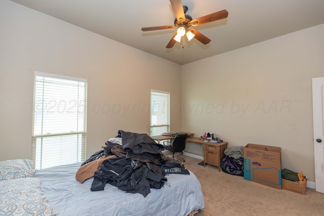 9900 Missy Dr, Amarillo, TX 79119 - photo 29