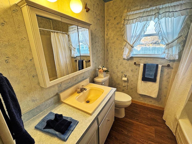 bathroom with hardwood / wood-style flooring, vanity, and toilet