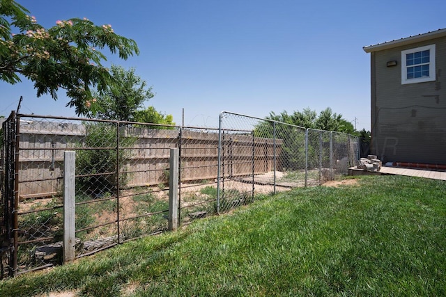 1007 N Jackson St, Amarillo, TX 79107 - view of yard