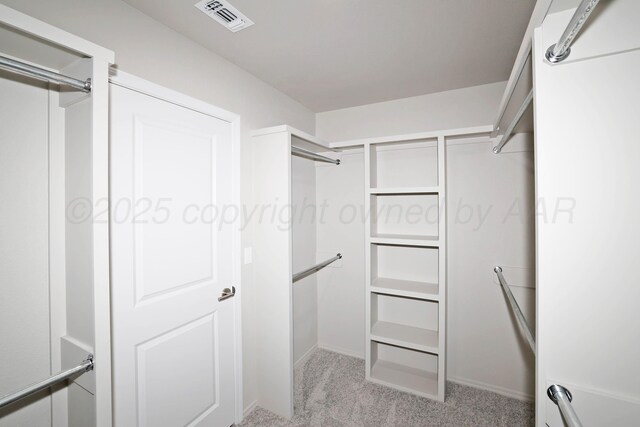 walk in closet featuring visible vents and carpet